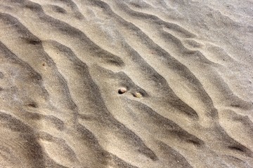 sand waves on the sea floor