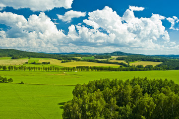 nature