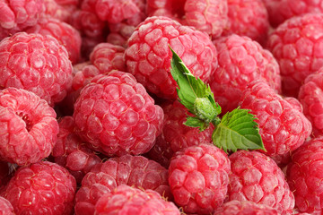 ripe raspberries background.with mint