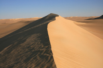 Sahara, wydma - obrazy, fototapety, plakaty