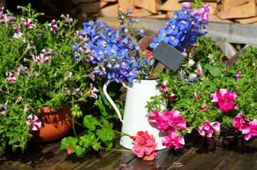 bunte Blumen Dekoration im Garten Terrasse