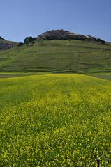 Piana di Castelluccio di Norcia