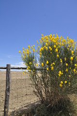 In campagna