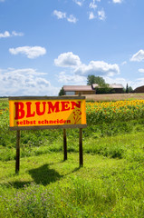 Obraz premium Blumen selbst schneiden