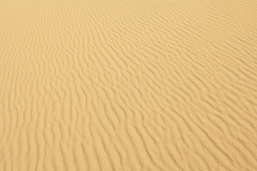 Fototapeta na wymiar żółty piasek faliste