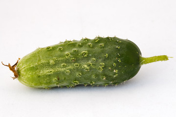 Cucumber