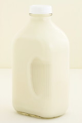 half gallon milk bottle