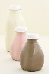 Fresh Strawberry, Chocolate and regular Milk Bottles