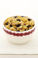 delicious and healthy granola