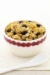 delicious and healthy granola