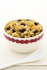 delicious and healthy granola