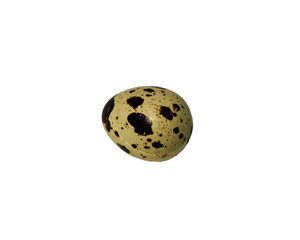 quail egg on a white background