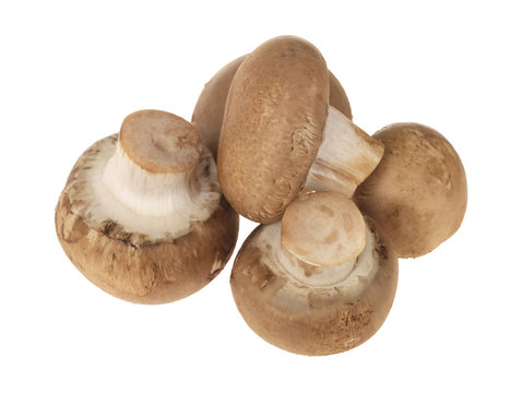 Chestnut Mushrooms