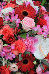 Mixed floral arrangement in red and pink