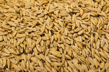 oats as a background