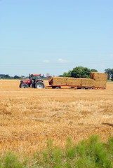 Fototapeta na wymiar tractors load bales of hay in farmlands