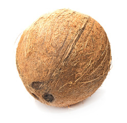 coconut on white background