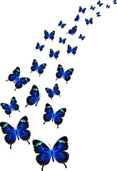 Obraz na płótnie Canvas beautiful butterfly illustration