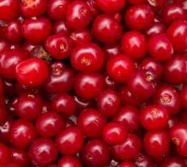cherry in the background