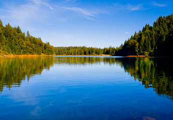 Fototapeta na wymiar Reflection in clear blue lake in Northern California
