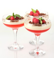 fruit jelly with chocolate and raspberries in glasses isolated