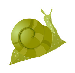 vector icon snail