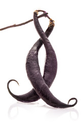 French Black beans isolated on white background