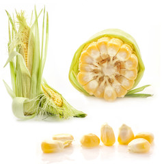 Collection of corn isolated on white background