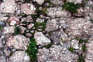 stone texture