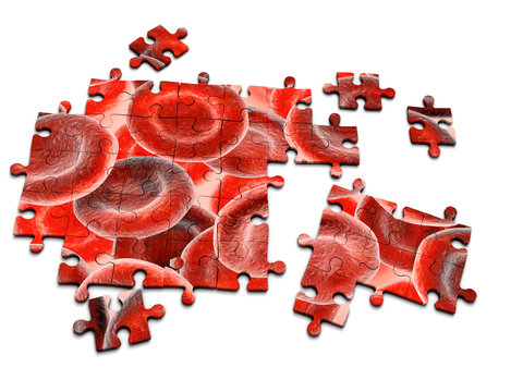 3d Jigsaw puzzle blood cells