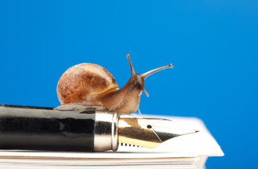 Slow bureaucracy process © Sergey Novikov