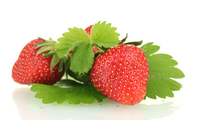 sweet ripe strawberries with leaves isolated on white