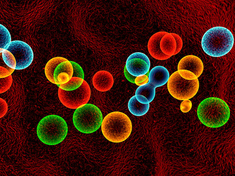 cells colors