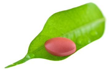 comprimé sur feuille de ficus