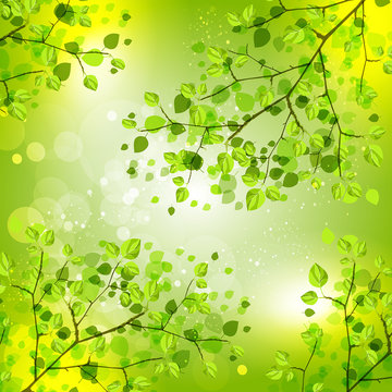 Background with decorative ornaments