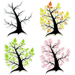 Four of the tree. Seasons.