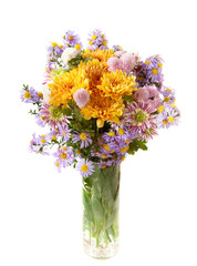 colourful chrysanthemums bunch   isolated on a white
