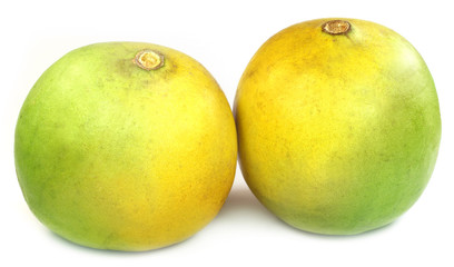 Medicinal Bael fruit of Indian subcontinent