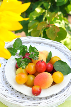 Red and yellow plums