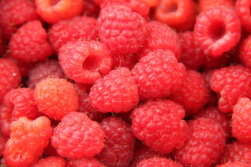 Framboises