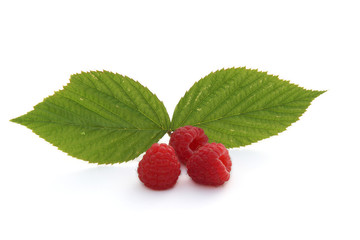 Framboises