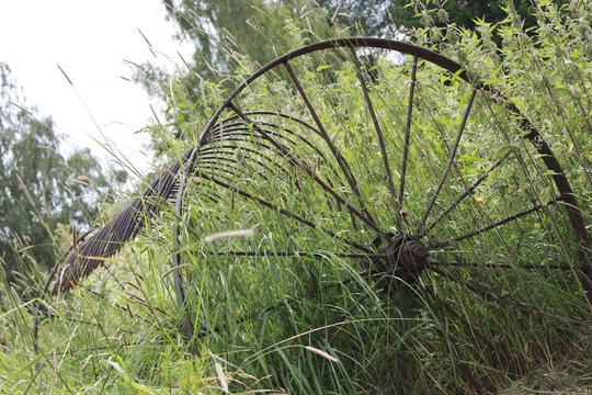 The Old Mower Is In The Meadow