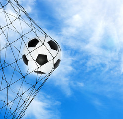 soccer ball in the net gate
