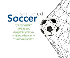 soccer ball in the net gate