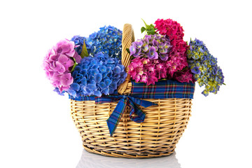 Bouquet pink and blue Hydrangea