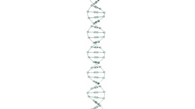 Camera zooms in to DNA then stops as the molecule rotates.