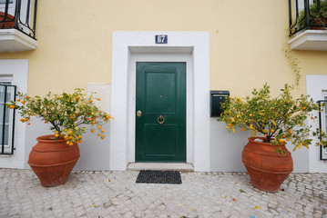 Fototapeta na wymiar Typical house in lisbon