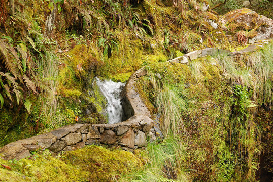 Levada, Madeira, Portugal