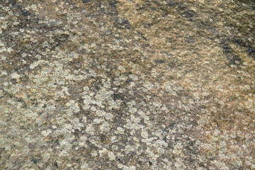 stone surface