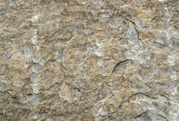 stone surface